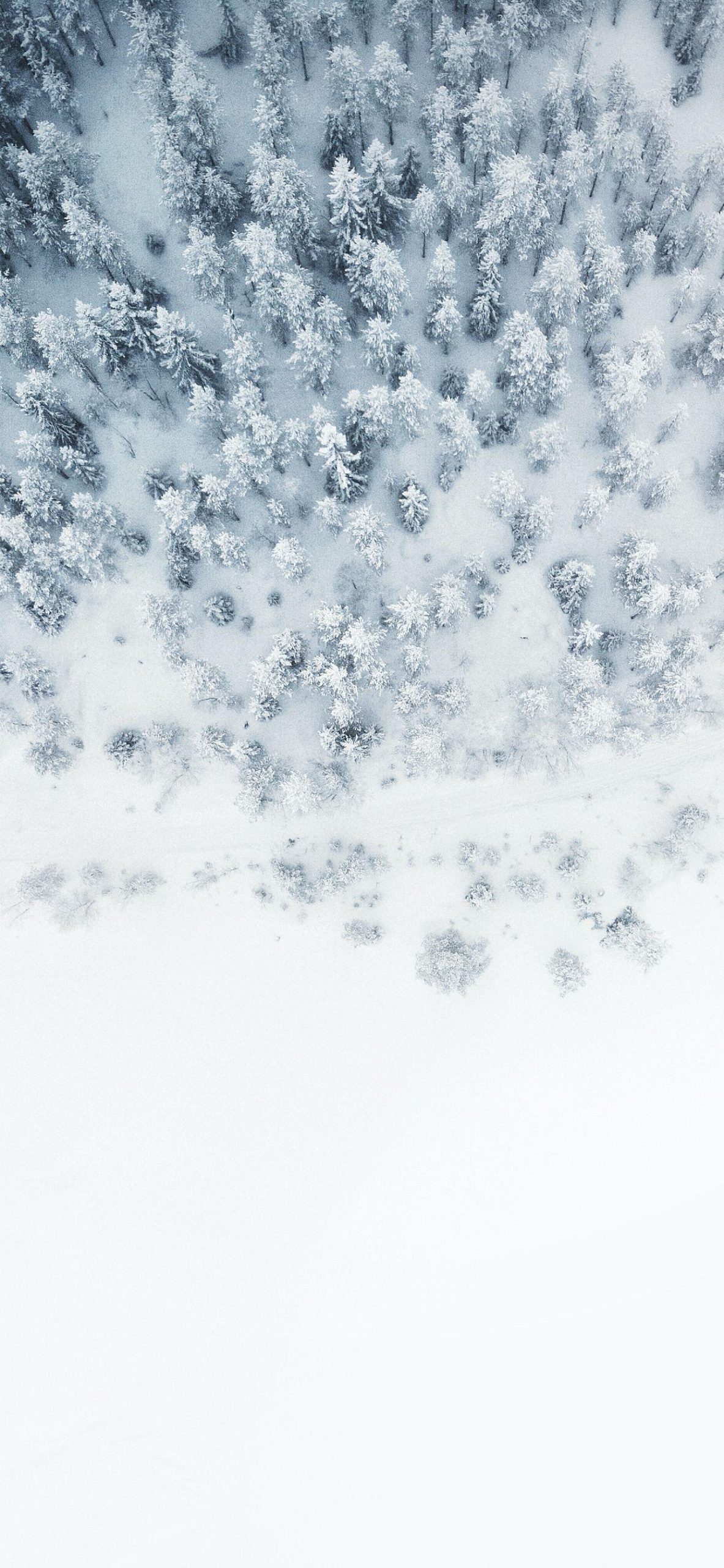 iPhone 15 Winter 1080p Wallpaper