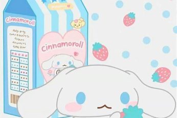 Cinnamoroll Hello Kitty Wallpaper Photo