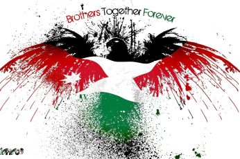 Freedom For Palestine Desktop Wallpaper 4k