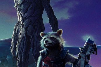 Guardians Of The Galaxy Rocket Hd Wallpaper 4k For Pc