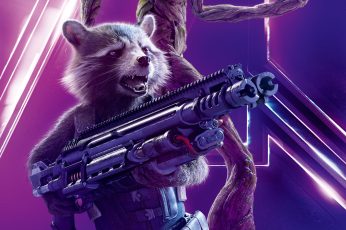 Guardians Of The Galaxy Vol 2 Rocket Raccoon 1080p Wallpaper