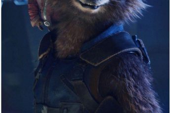 Guardians Of The Galaxy Vol 2 Rocket Raccoon Hd Wallpapers For Pc