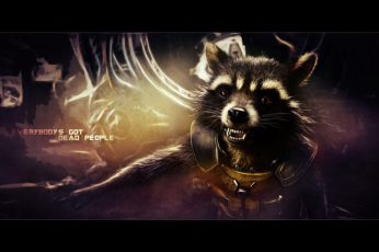 Guardians Of The Galaxy Vol 2 Rocket Raccoon Wallpaper 4k Pc