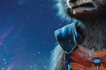 Guardians Of The Galaxy Vol 2 Rocket Raccoon Wallpaper Download
