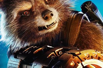 Guardians Of The Galaxy Vol 2 Rocket Raccoon Wallpaper For Pc