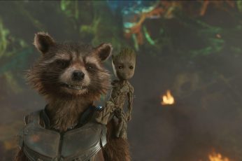 Guardians Of The Galaxy Vol 2 Rocket Raccoon Wallpaper Photo