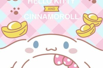 Hello Kitty And Cinnamoroll 4k Wallpaper