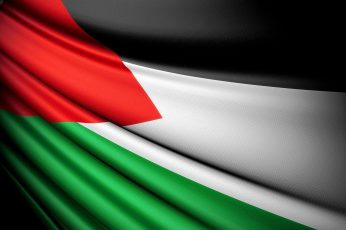 Palestine Android iphone 13 wallpaper