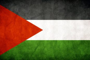 Palestine Flag Best Wallpaper Hd