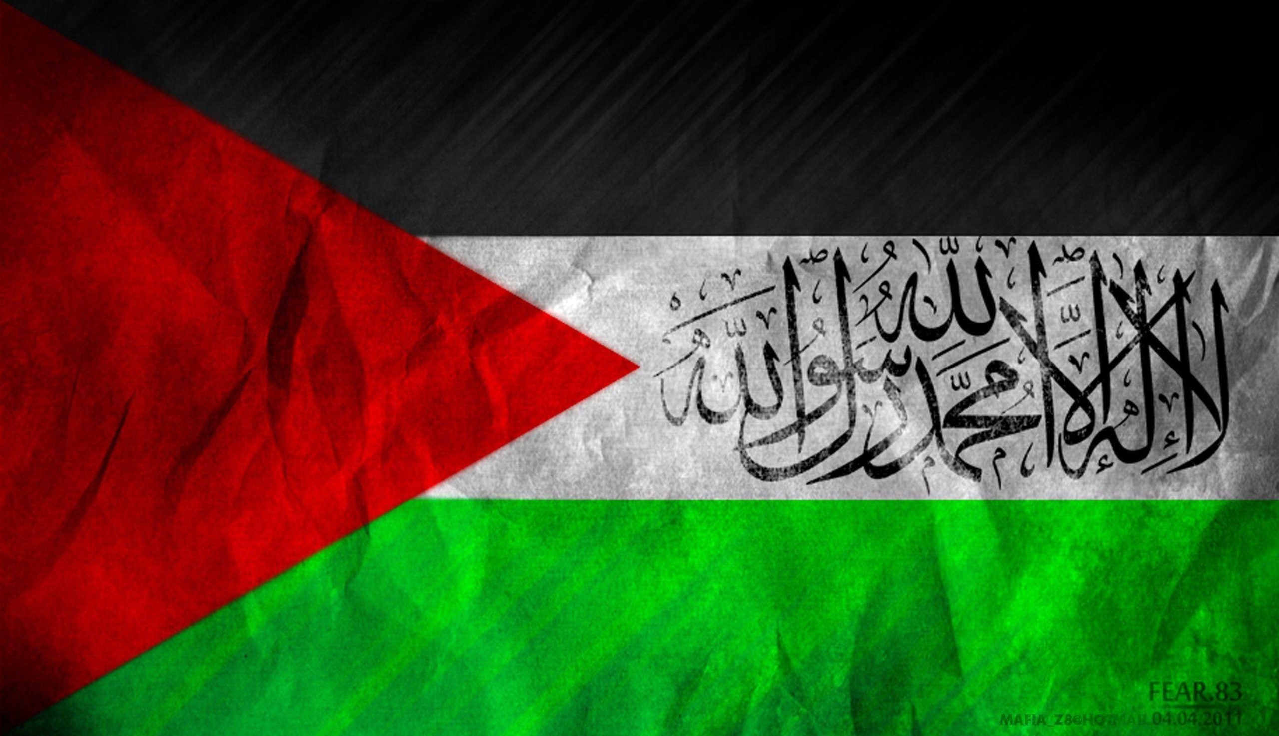 Palestine Flag Hd Wallpaper, Palestine Flag, Other