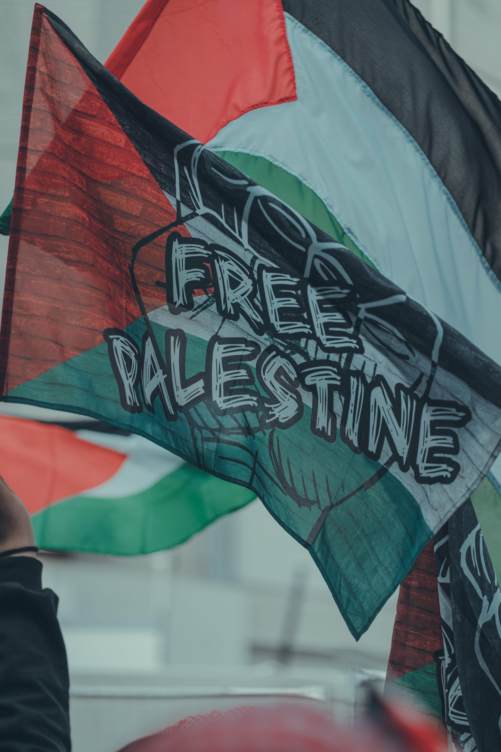 Palestine Flag Mobile Download Wallpaper
