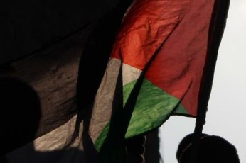 Palestine Flag Mobile Hd Wallpaper