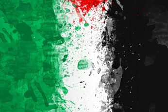 Palestine Flag Mobile Wallpaper Iphone