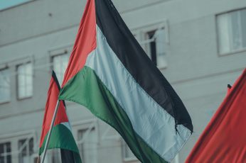Palestine Flag Mobile Wallpaper Photo