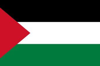 Palestine Flag New Wallpaper