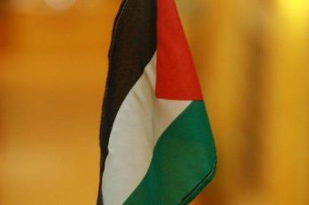 Palestine Flag Pc Wallpaper