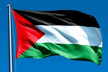 Palestine Flag Wallpaper 4k