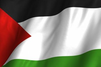 Palestine Flag Wallpaper Iphone