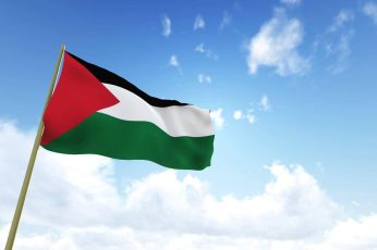Palestine Flag cool wallpaper