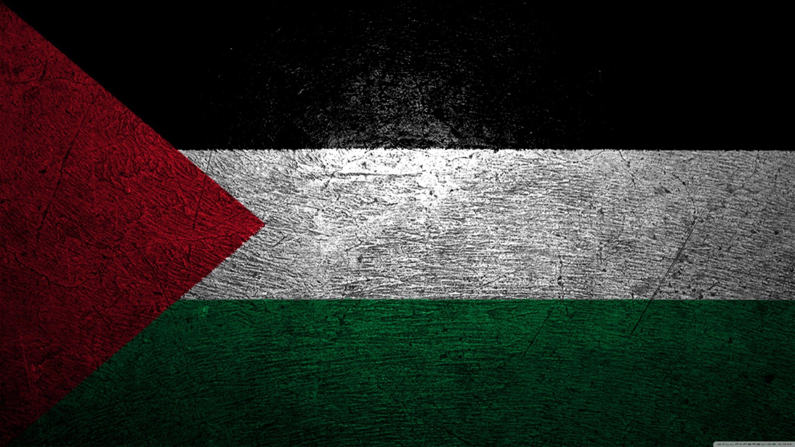 Palestine Flag ipad wallpaper
