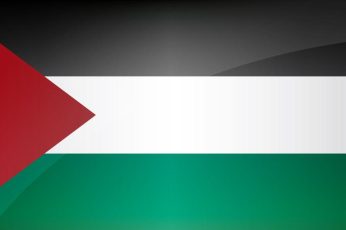 Palestine Flag wallpaper 5k