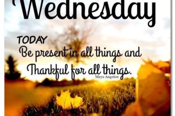 Wednesday Quotes Hd Wallpaper 4k For Pc