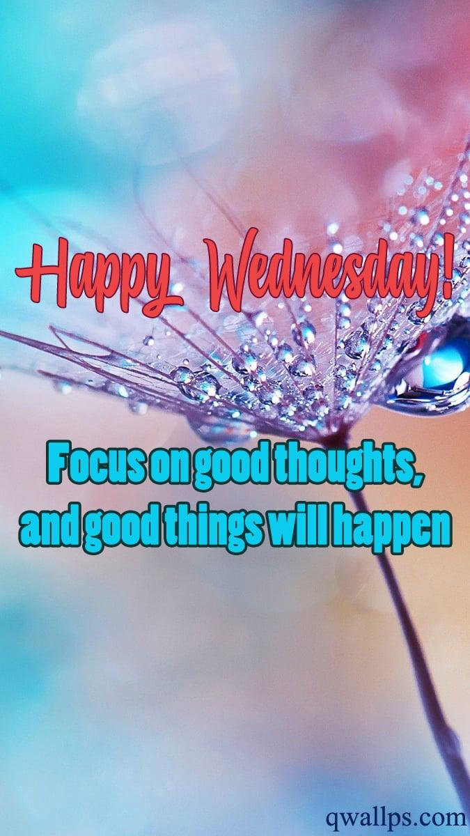 Wednesday Quotes Wallpaper