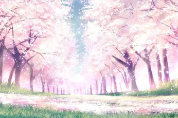 Anime Spring Season Street Free Desktop Wallpaper