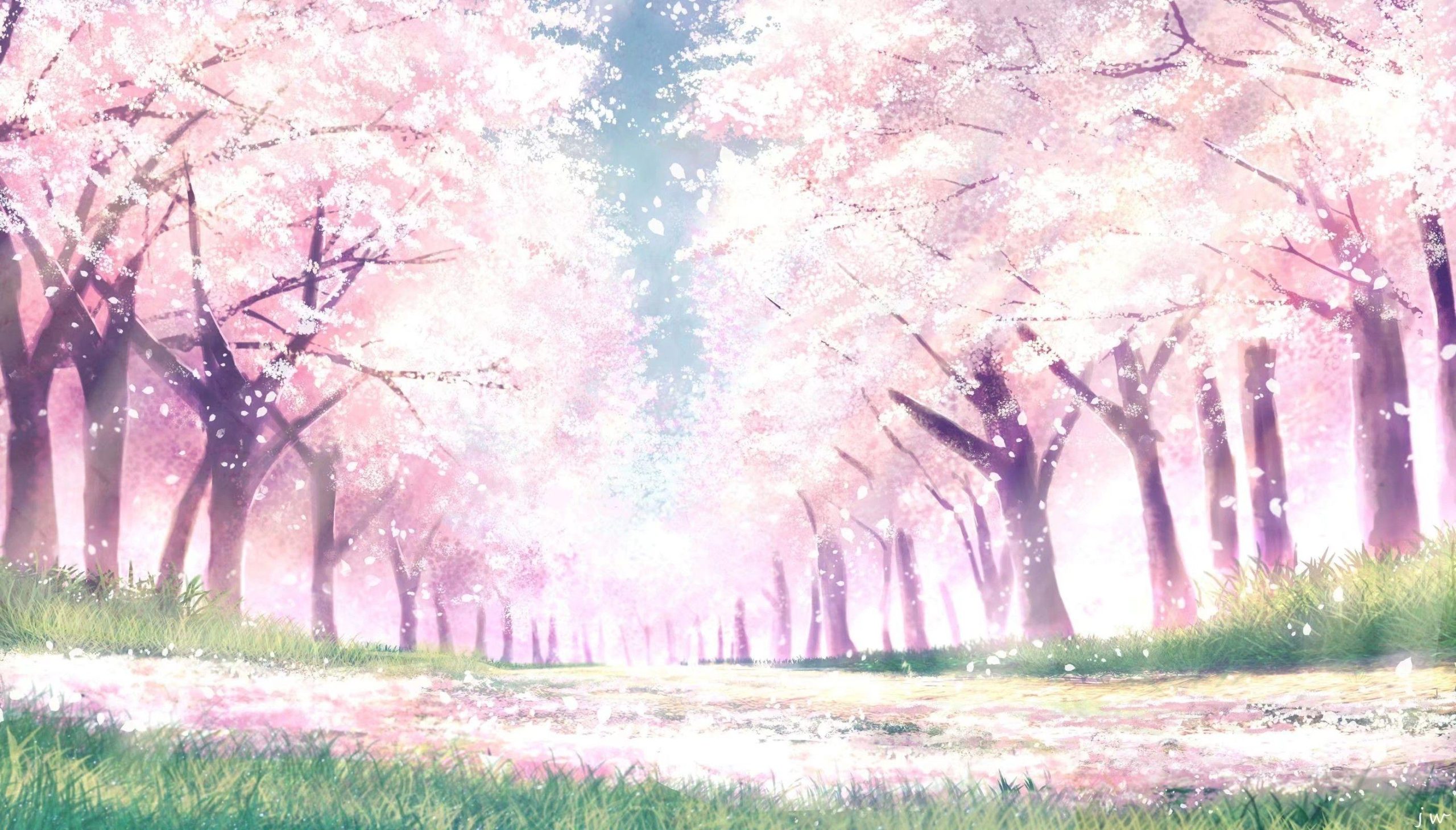 Anime Spring Season Street Free Desktop Wallpaper