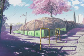 Anime Spring Season Street Iphone Wallpaper
