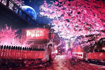 Anime Spring Season Street Wallpaper For Ipad