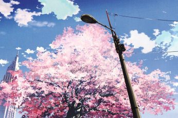 Anime Spring Season Street Wallpaper Phone