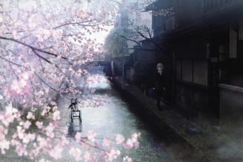 Anime Spring Season Street Wallpaper Photo