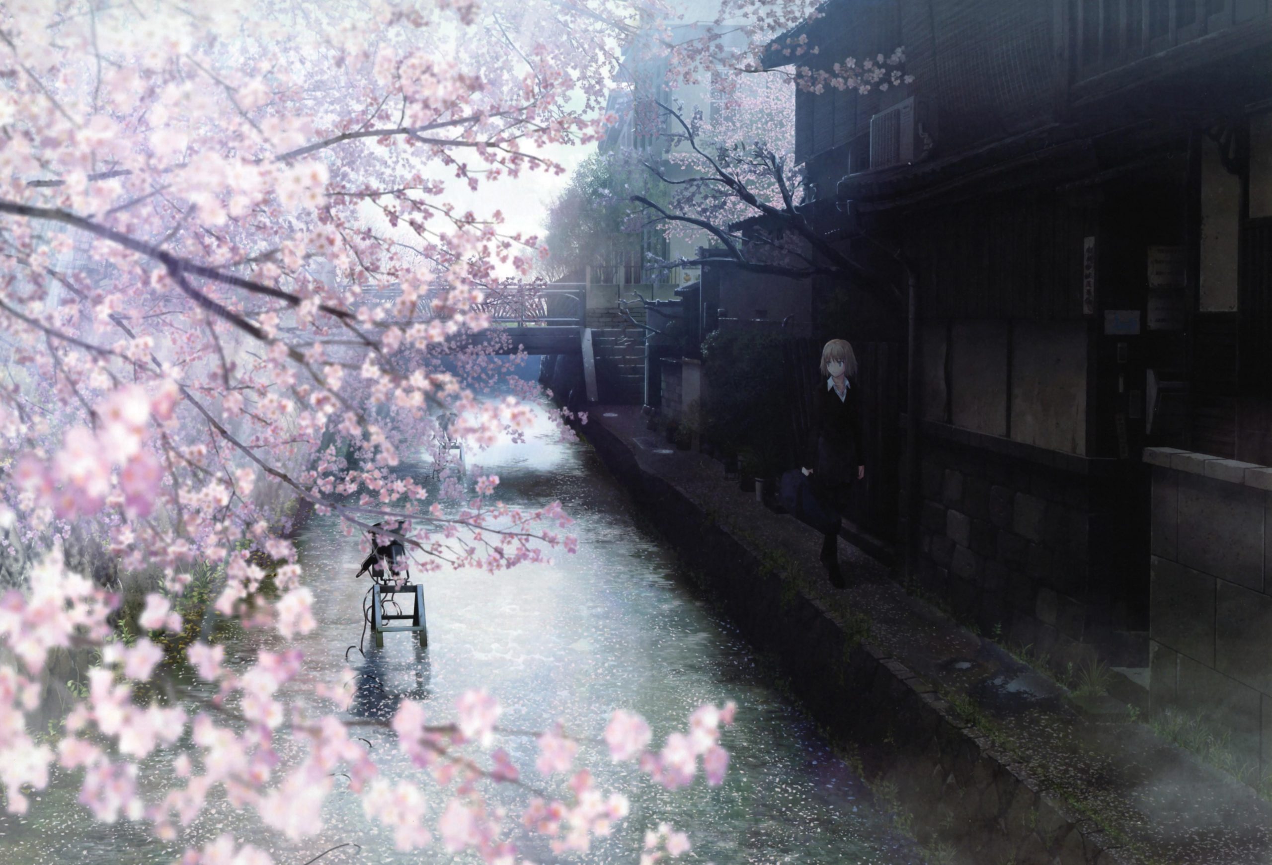 Anime Spring Season Street Wallpaper Photo, Anime Spring Season Street, Nature