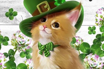 Saint Patricks Day Cats Hd Wallpaper