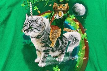 Saint Patricks Day Cats Wallpaper 4k
