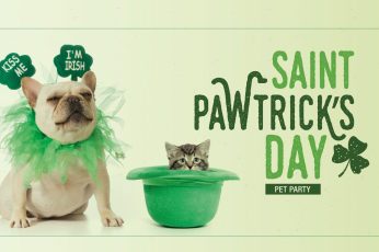 Saint Patricks Day Puppies Free 4K Wallpapers