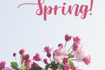 Spring Season Android Desktop Wallpaper