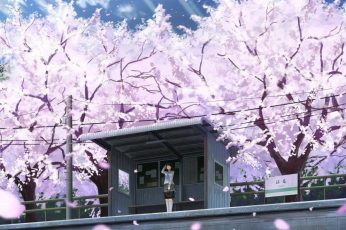 Spring Season Anime Best Hd Wallpapers