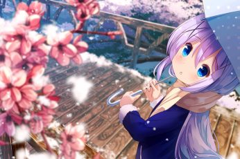 Spring Season Anime Hd Cool Wallpapers