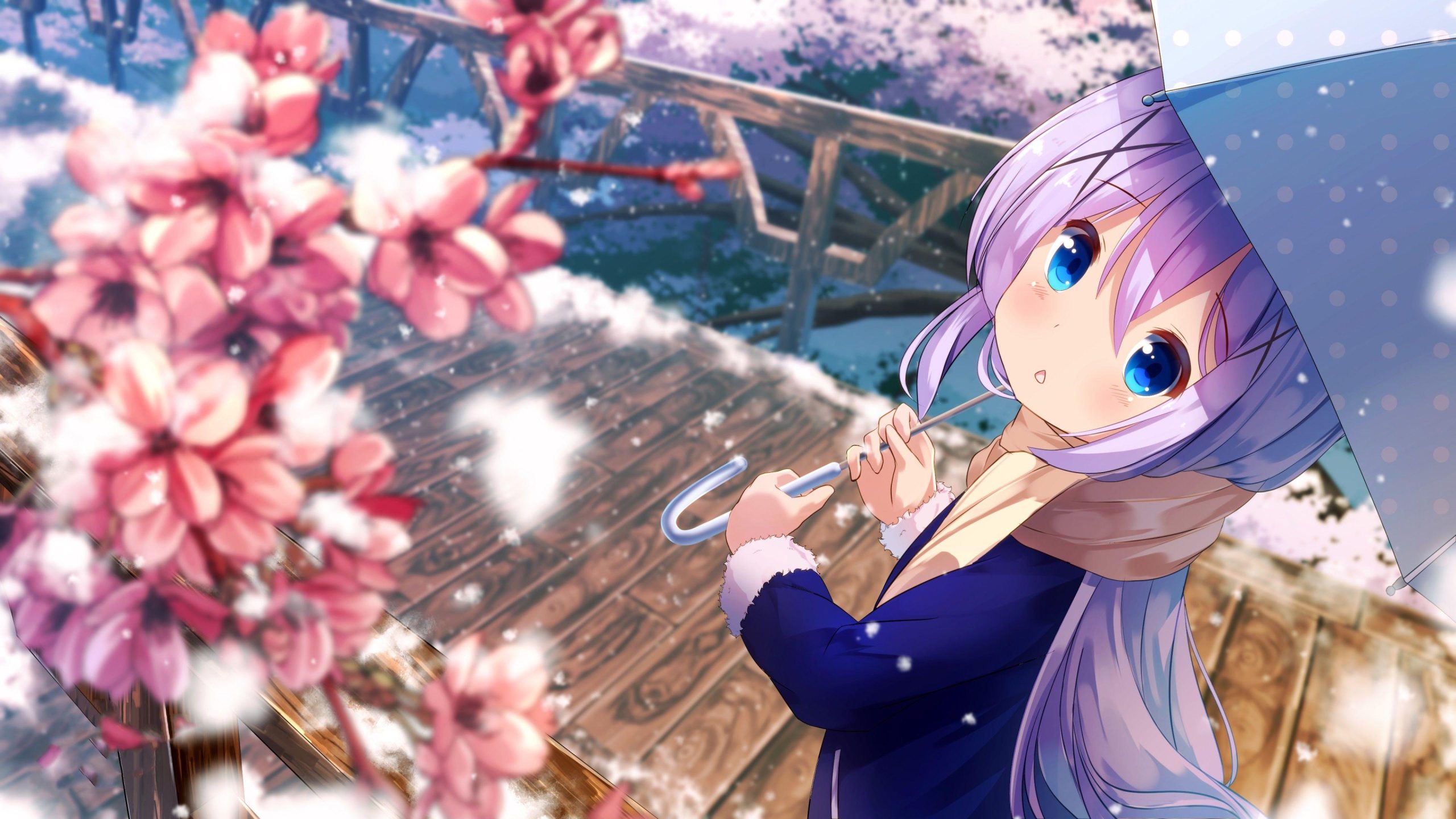 Spring Season Anime Hd Cool Wallpapers, Spring Season Anime, Nature