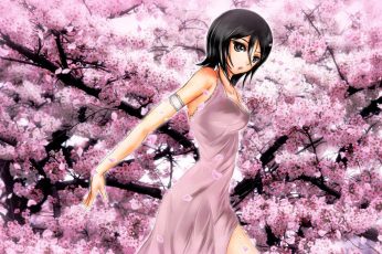 Spring Season Anime Wallpaper Hd