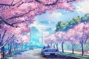 Spring Season Anime Wallpaper Phone