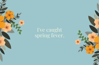 Spring Season Desktop Wallpaper Hd