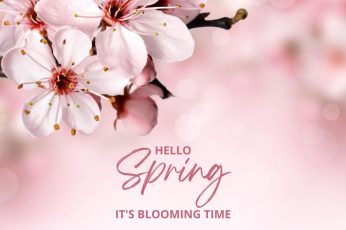 Spring Season Desktop Wallpapers