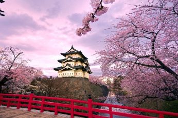 Spring Season Japan Free Desktop Wallpaper