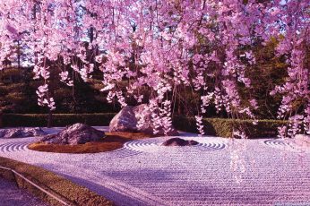 Spring Season Japan ipad wallpaper