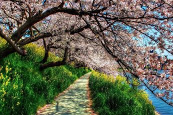 Spring Season Landscape Wallpaper 4k Download