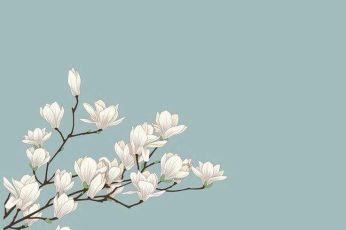 Spring Season Minimalist Desktop Wallpaper Hd