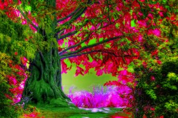 Spring Season Tree Desktop Wallpaper 4k